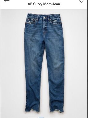 AE Curvy Mom Jeans